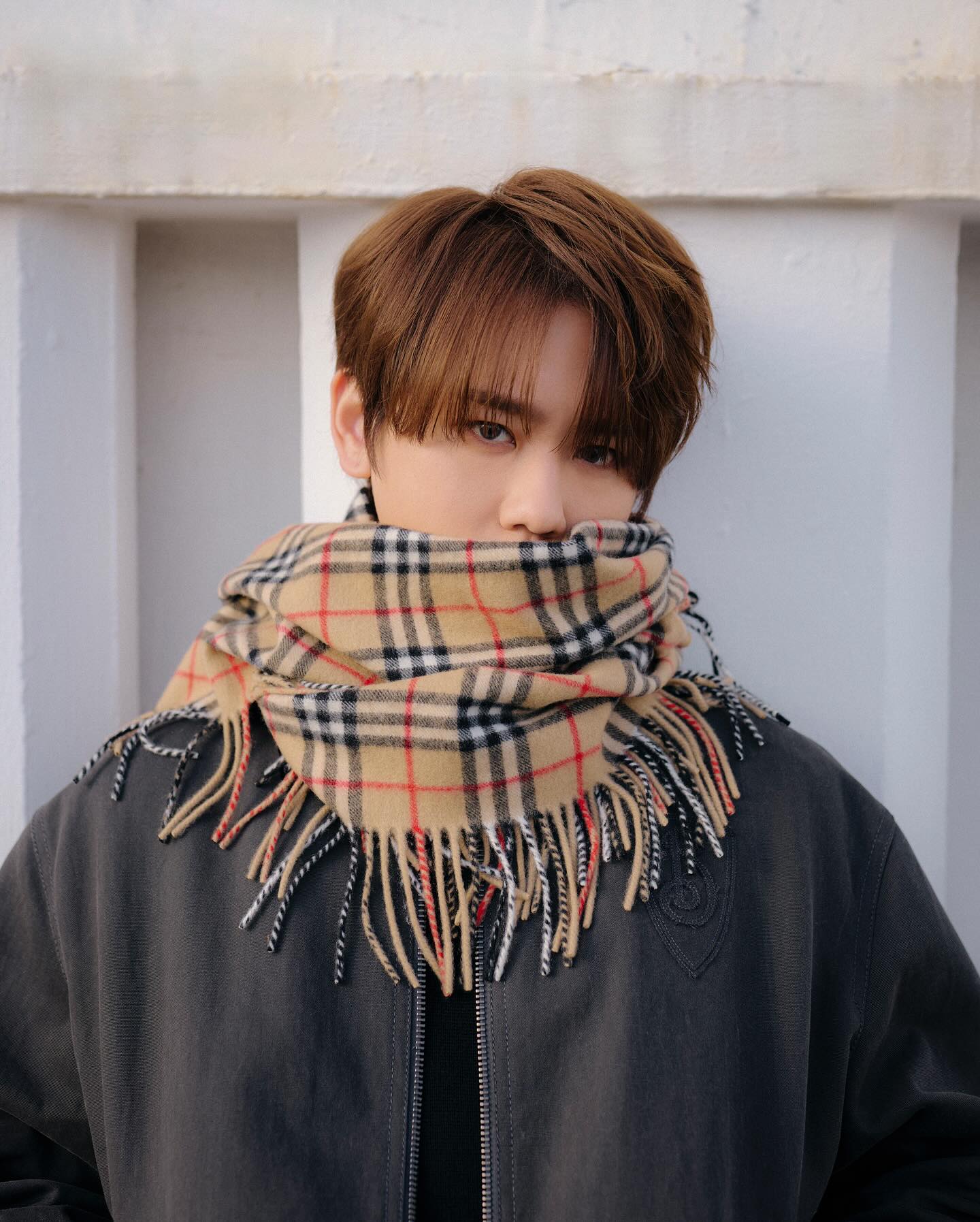 屬兔明星代表:姜濤