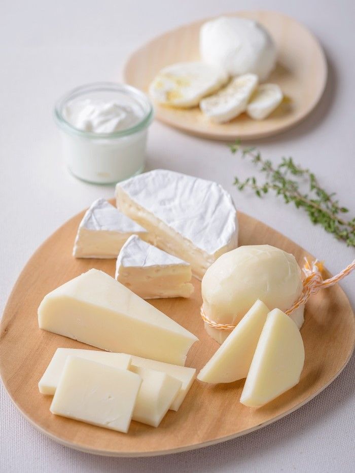 乳酪能有效增強腸道健康。