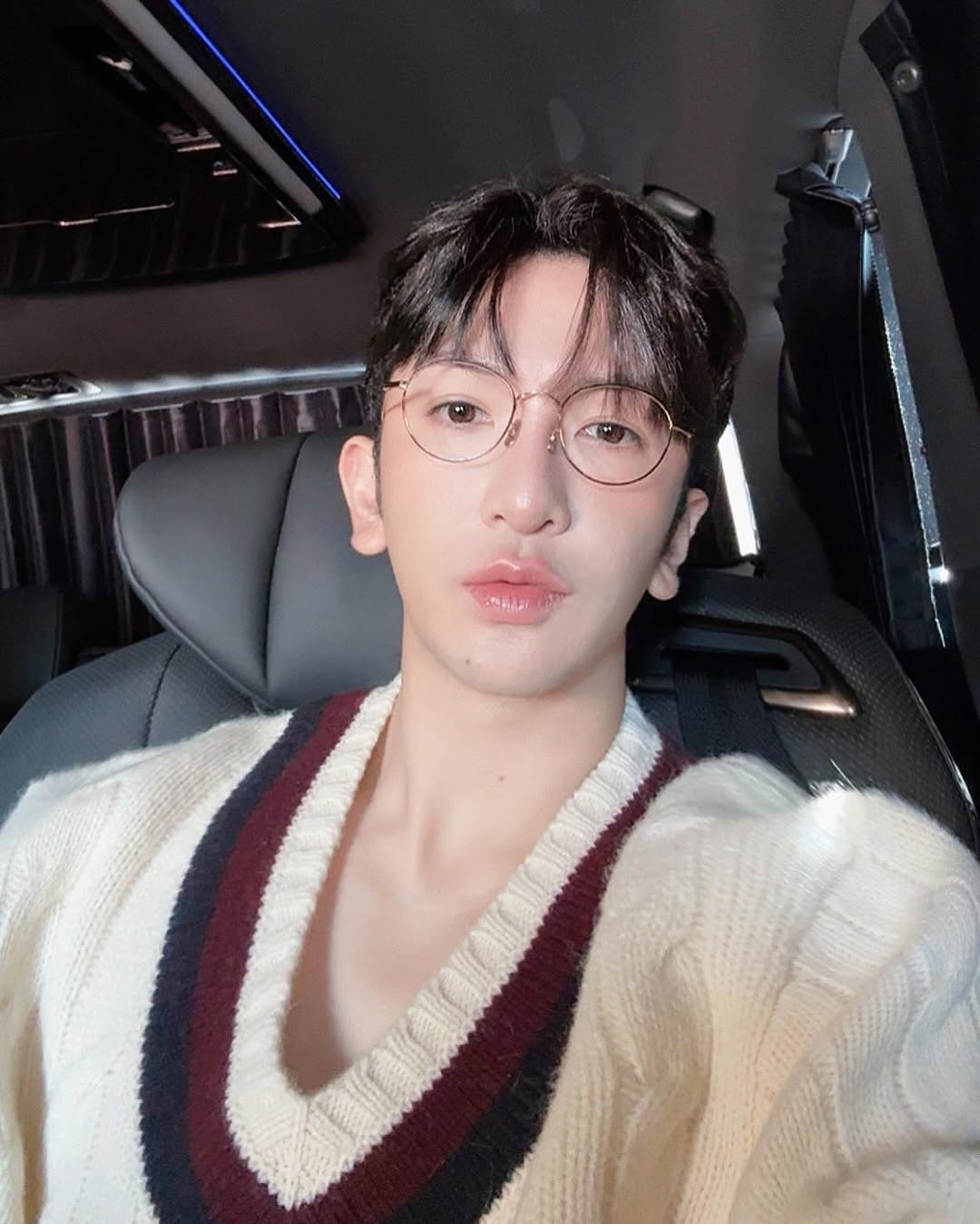 屬豬藝人代表：Anson Lo（盧瀚霆）。