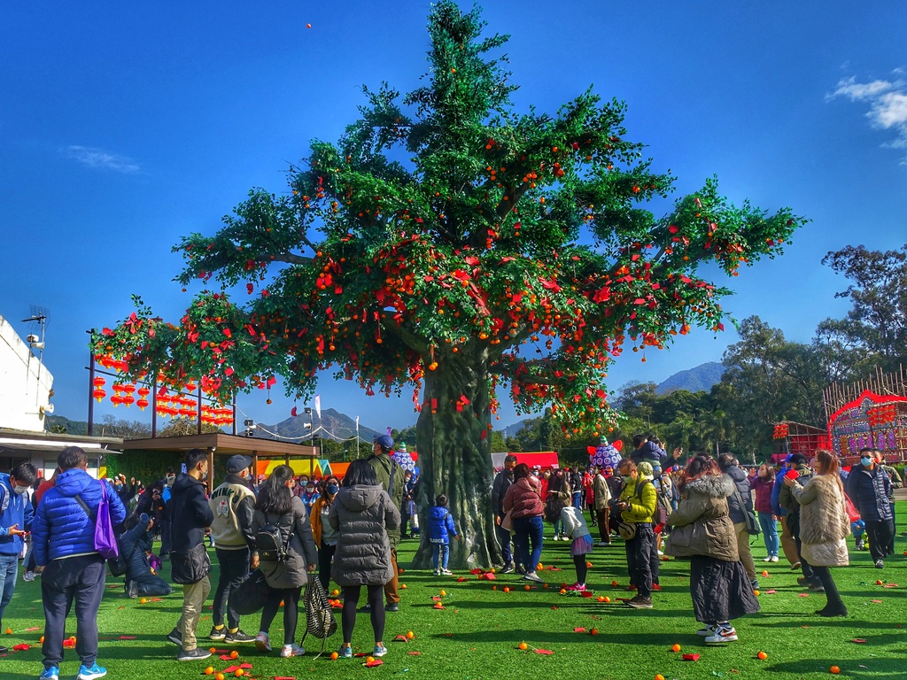 大埔林村_香港許願節2025。