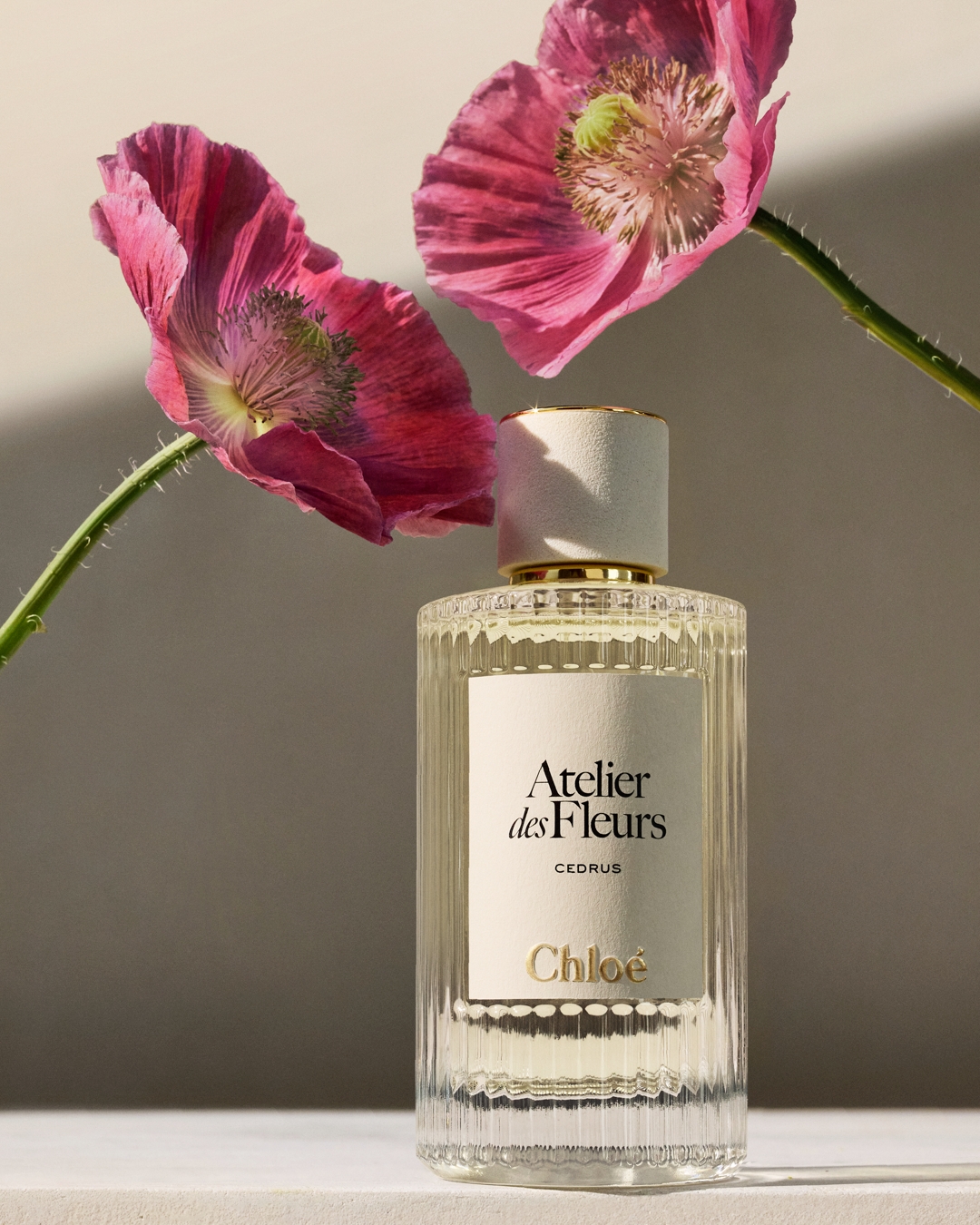 「雪松Intense」以深沉木質調為主,前調的活力柑橘與沉穩落葉香氣交織