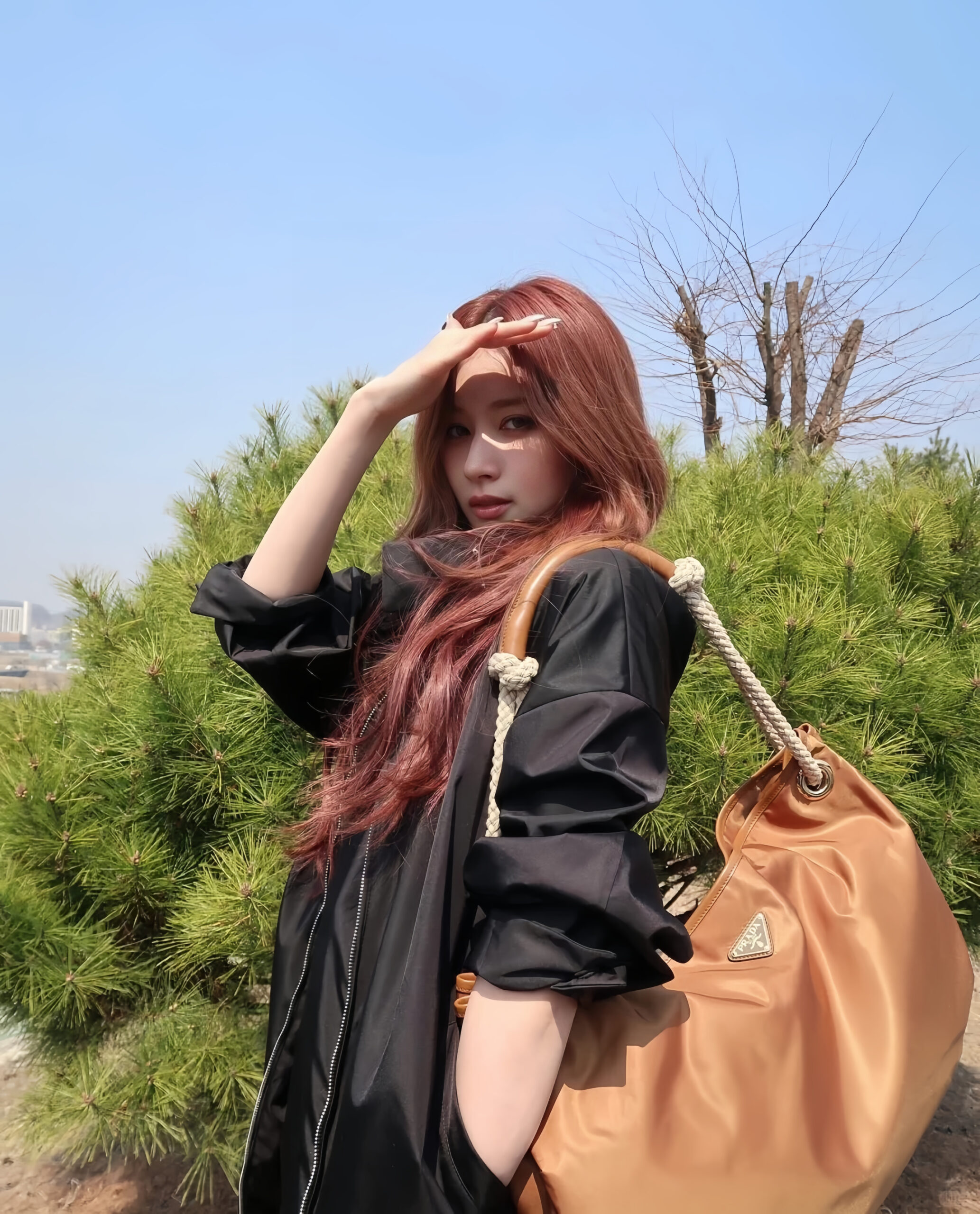 橘棕色在陽光底下散發著迷人氣質。