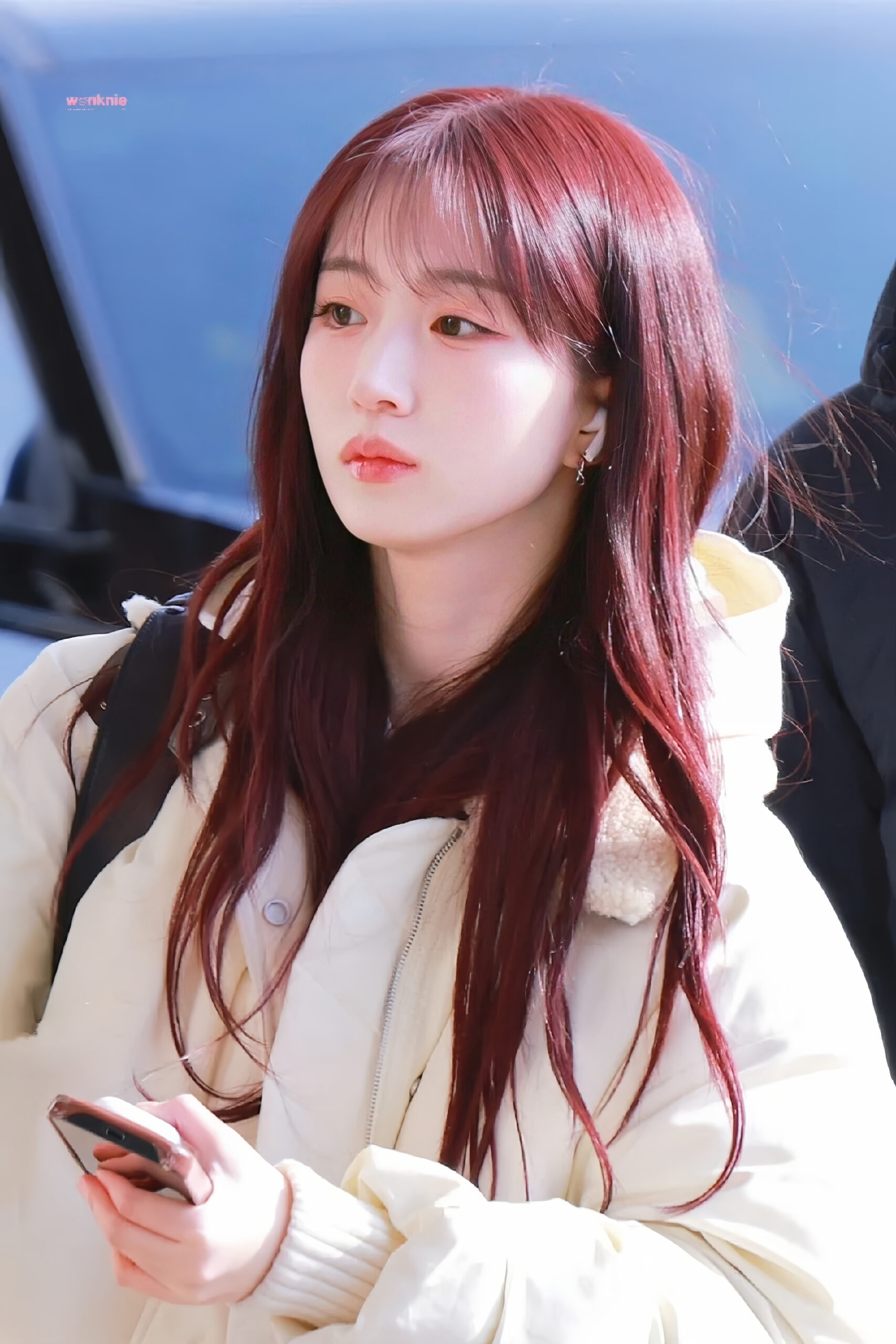 樹莓紅在陽光底下的顏色就像梅子果醬。