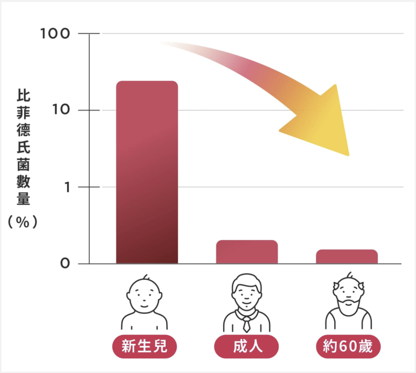 比菲德氏菌佔腸道益生菌是維持身體健康的重要關鍵，會隨著年齡增長等因素下降，因此女生們須額外攝取益生菌來補充。