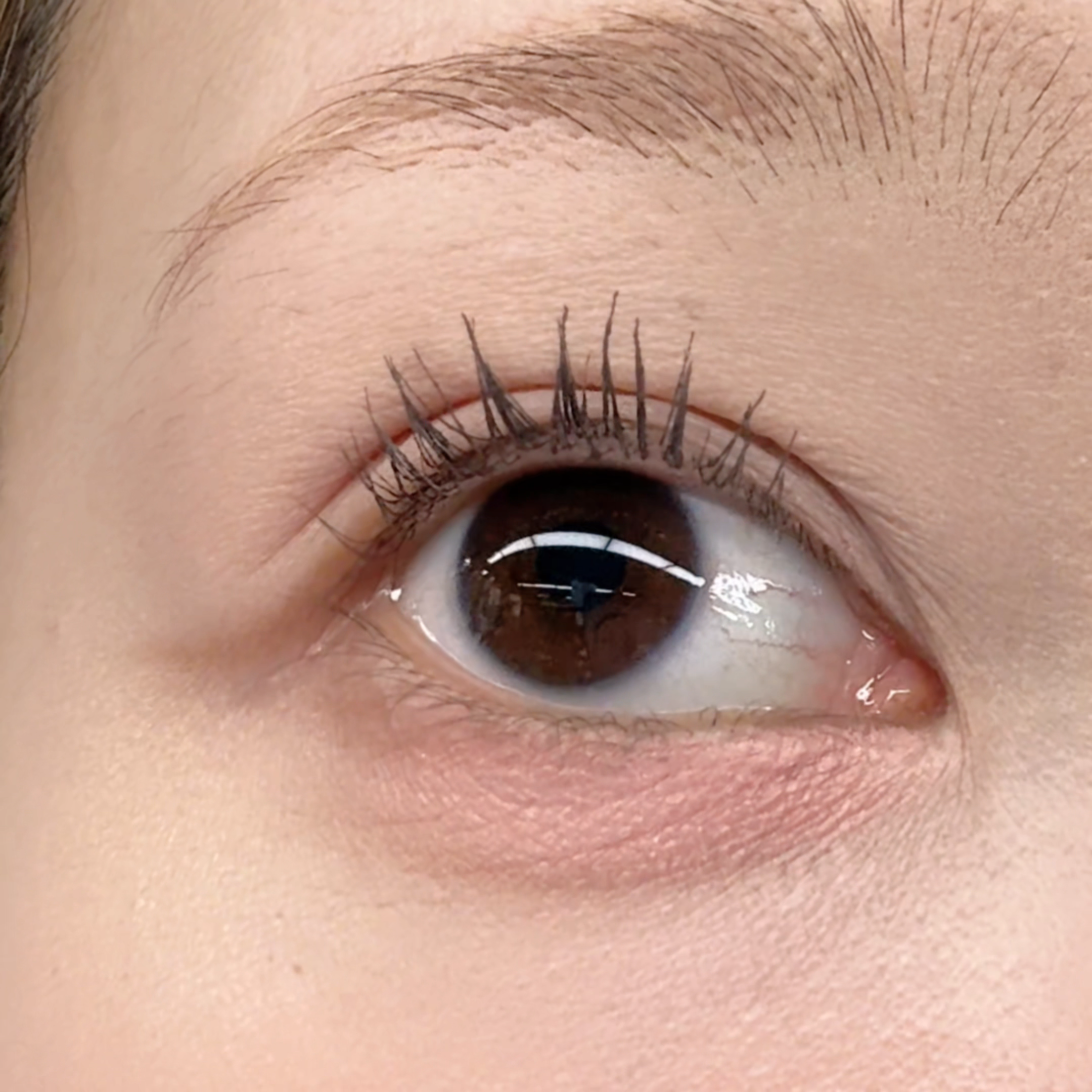 美編實測CANMAKE卷翹度。