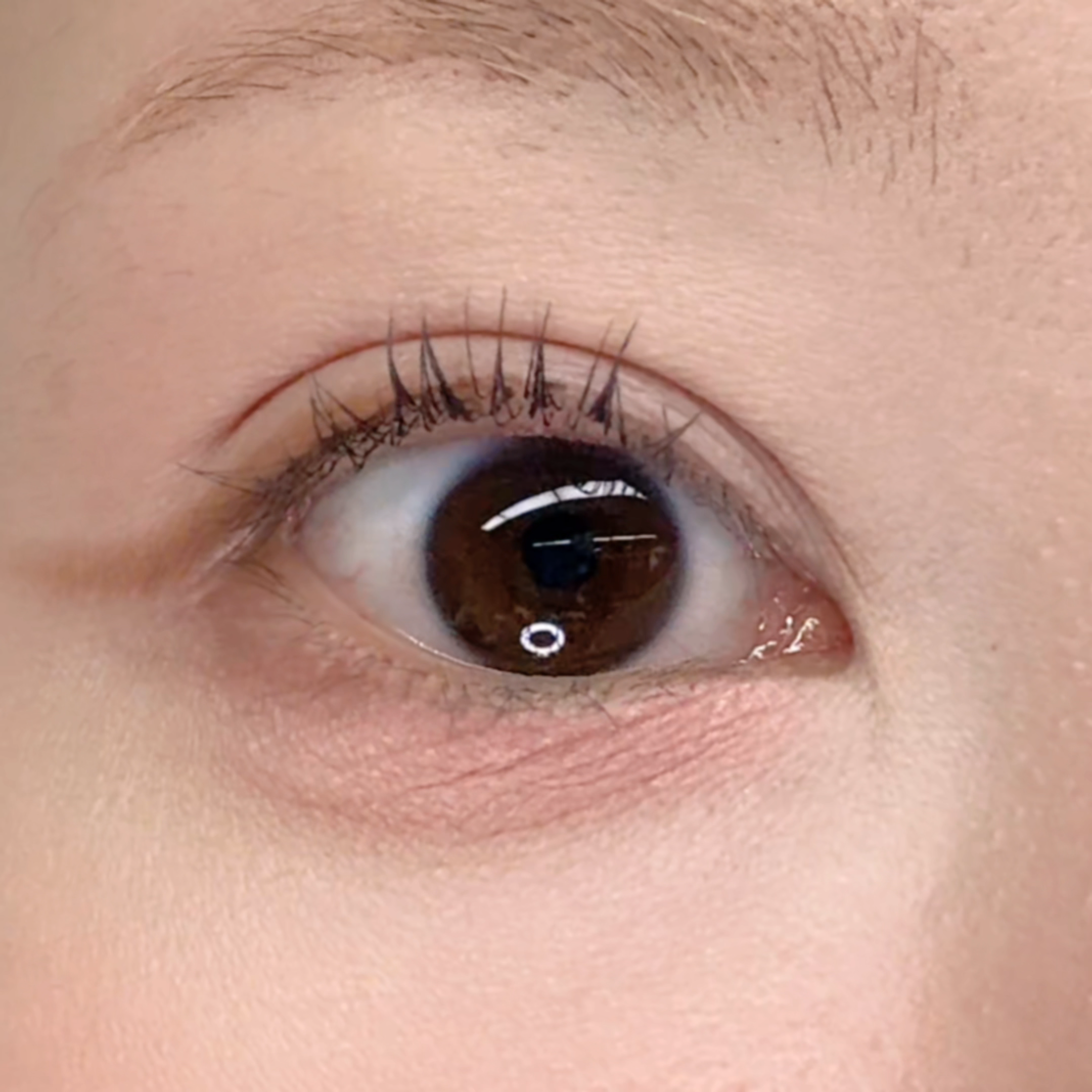 美編實測ettusais睫毛膏卷翹度。