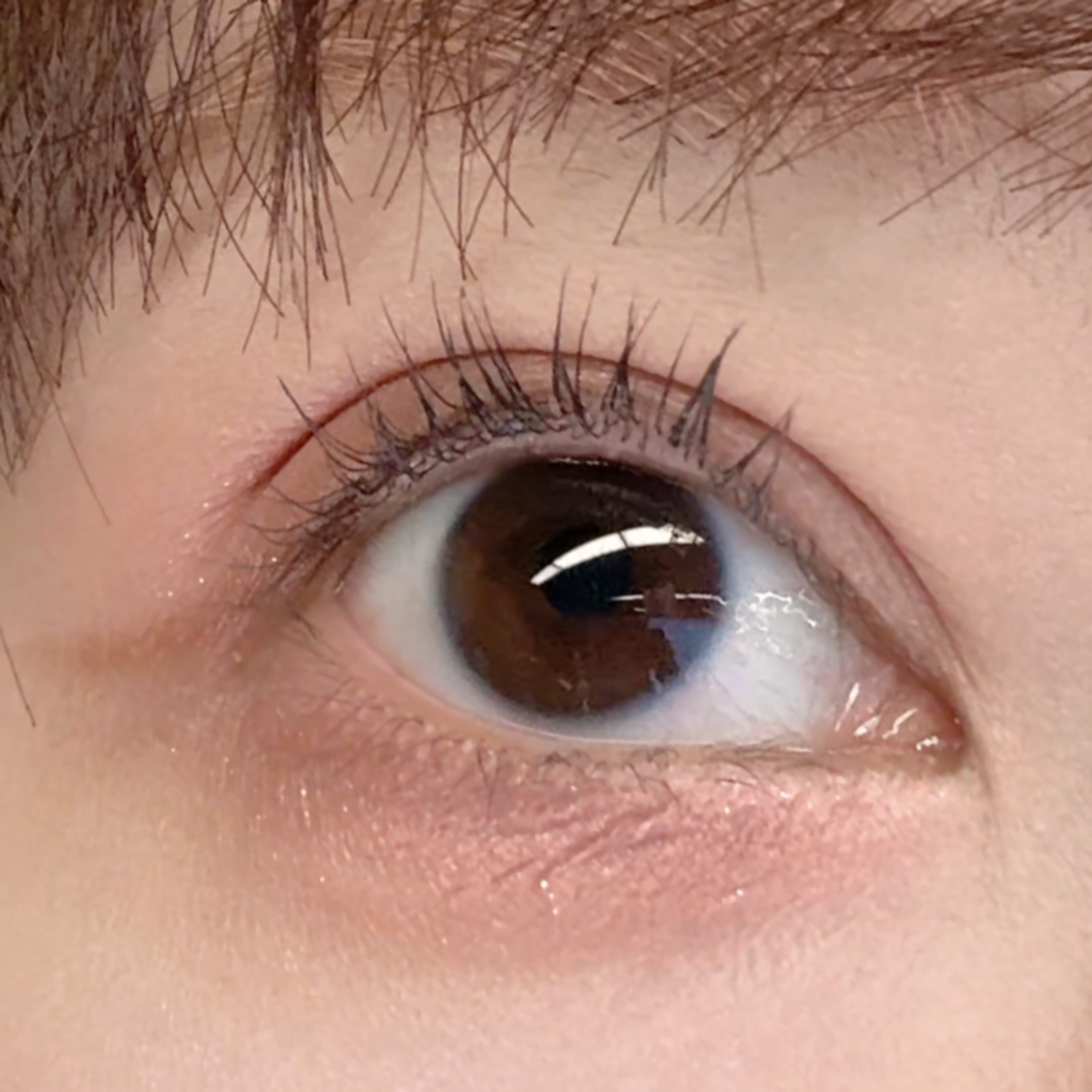 美編實測KATE睫毛膏卷翹度。