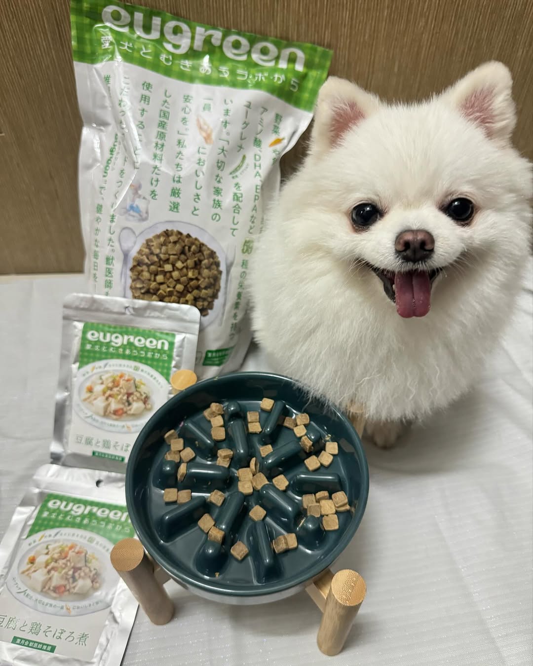 寵物美容不只外表,關鍵在於內在調理。