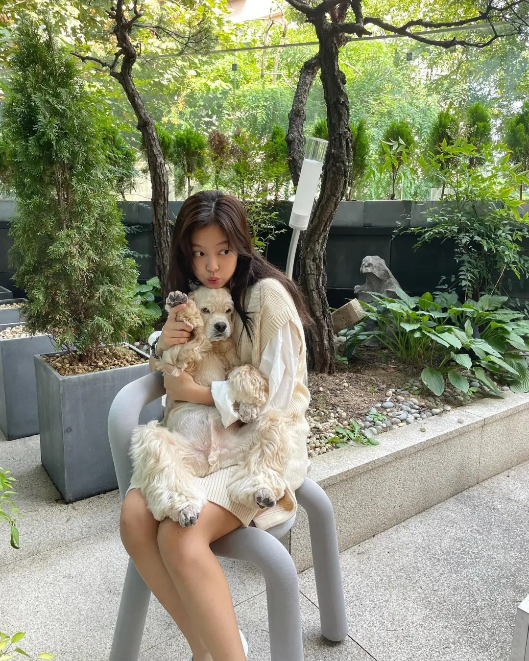 毛孩的健康於美麗,源自於內在的營養汲取。