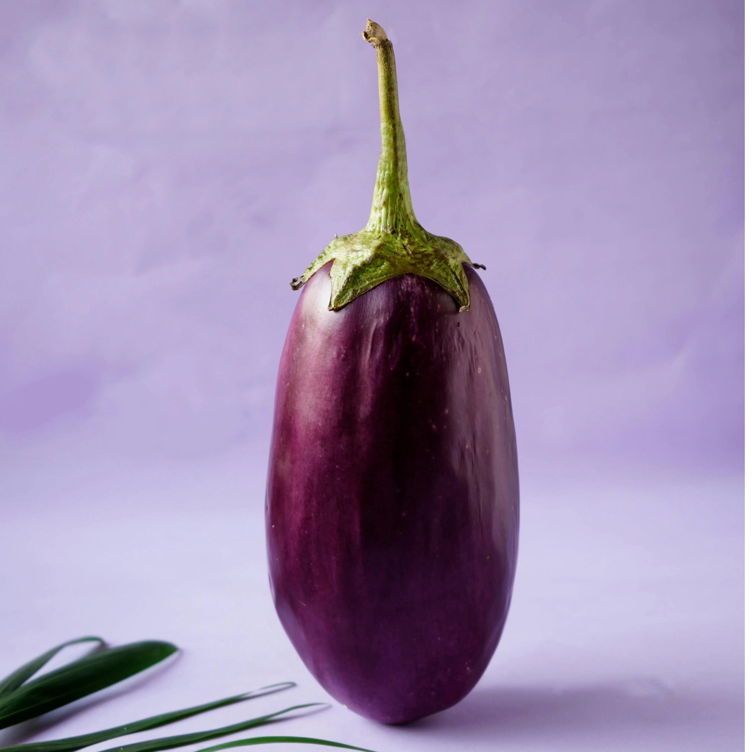 茄子富含茄紫素,是極具抗氧化能力的植化素。