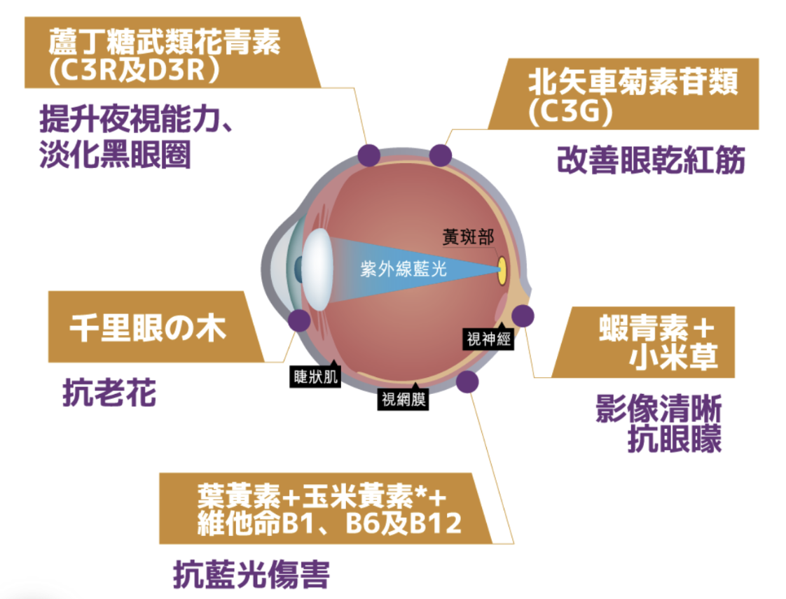 Return護眼養潤配方擁有高濃度北歐藍莓花青素。