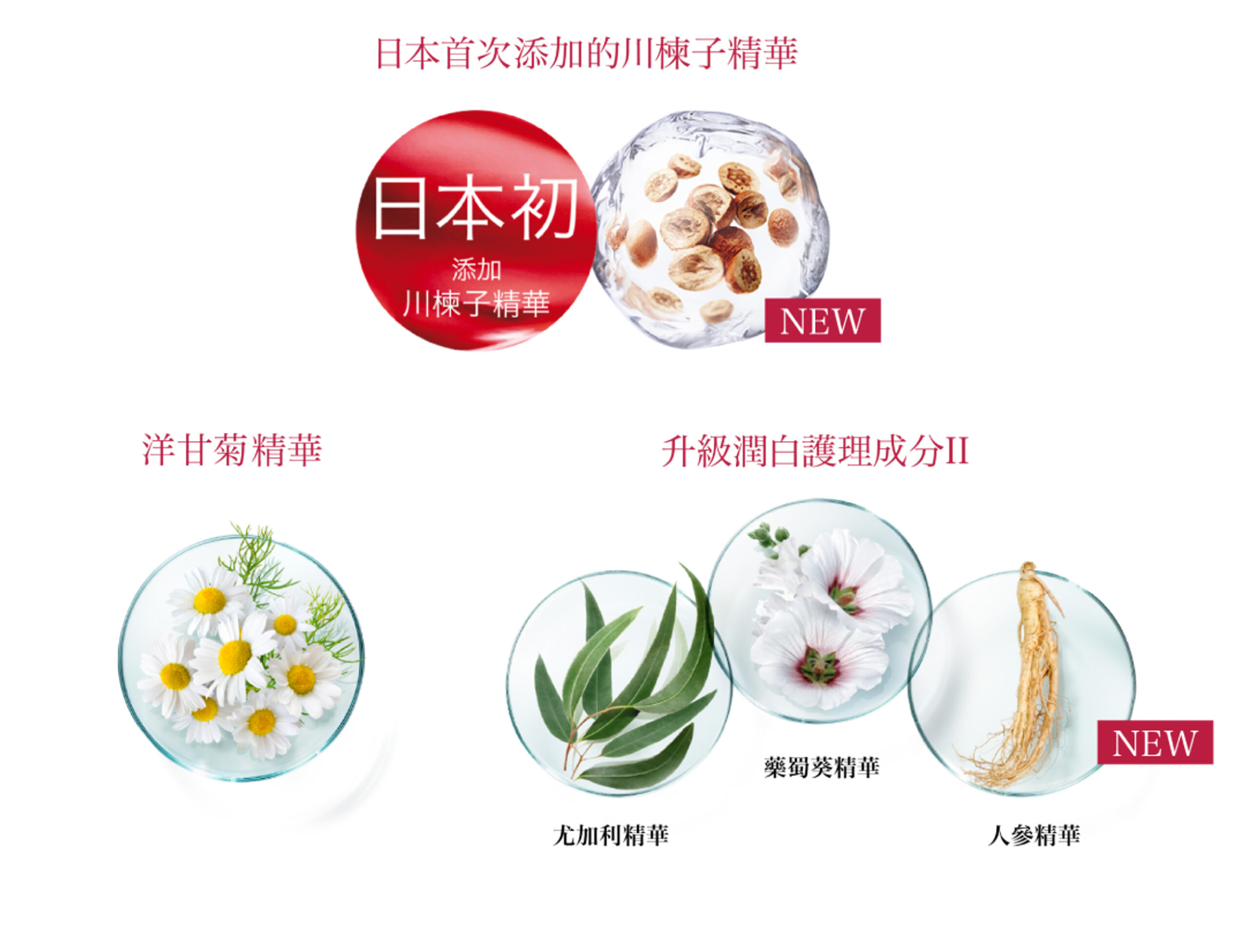 ALBLANC嚴選多種珍貴草本精華,從3個皮膚層著手,提升明亮度、淨白度及透明感。