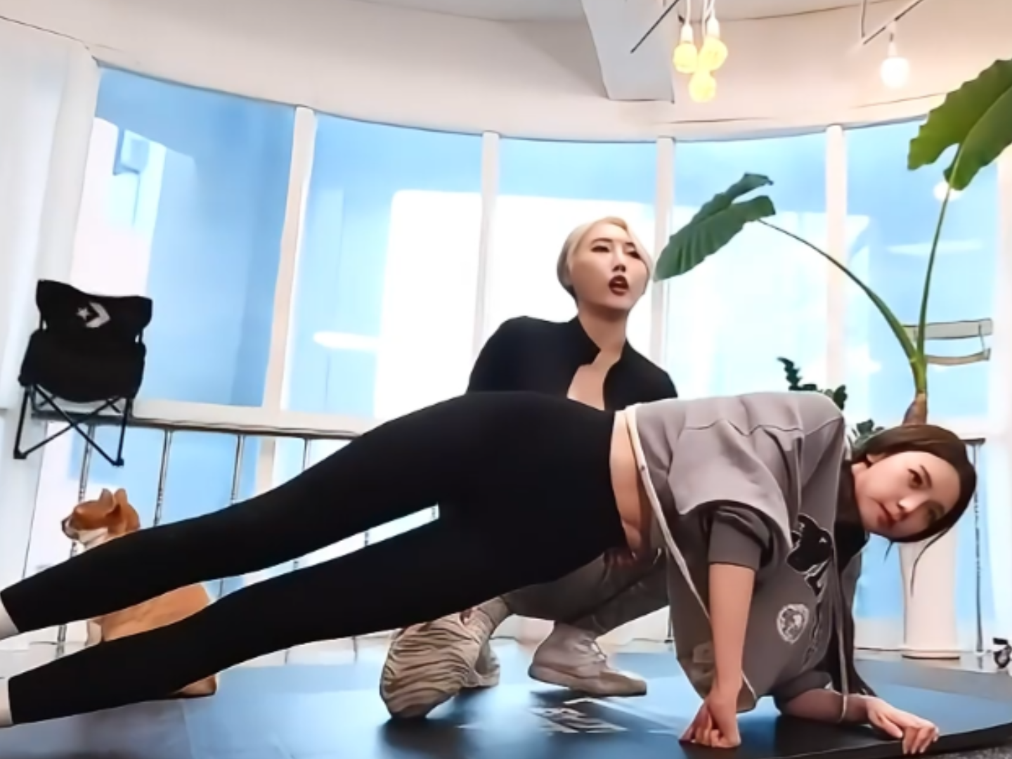 單側手肘撐地，身體從頭到腳呈一直線。