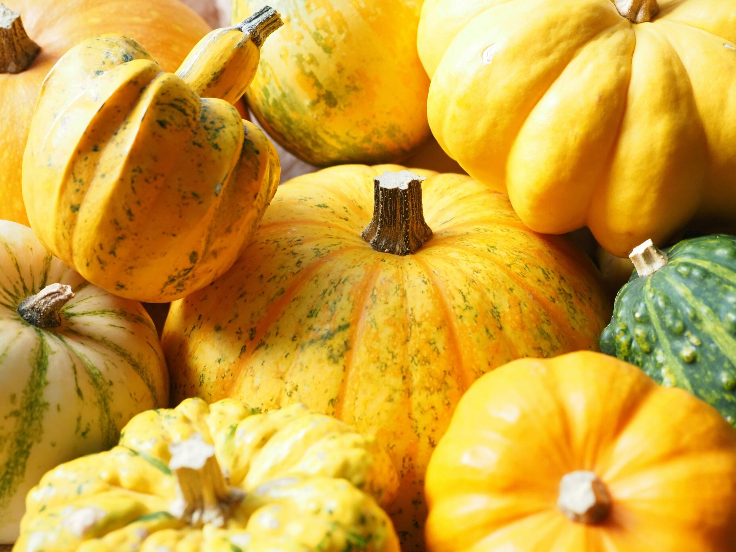 南瓜子:安神助眠的零食首選