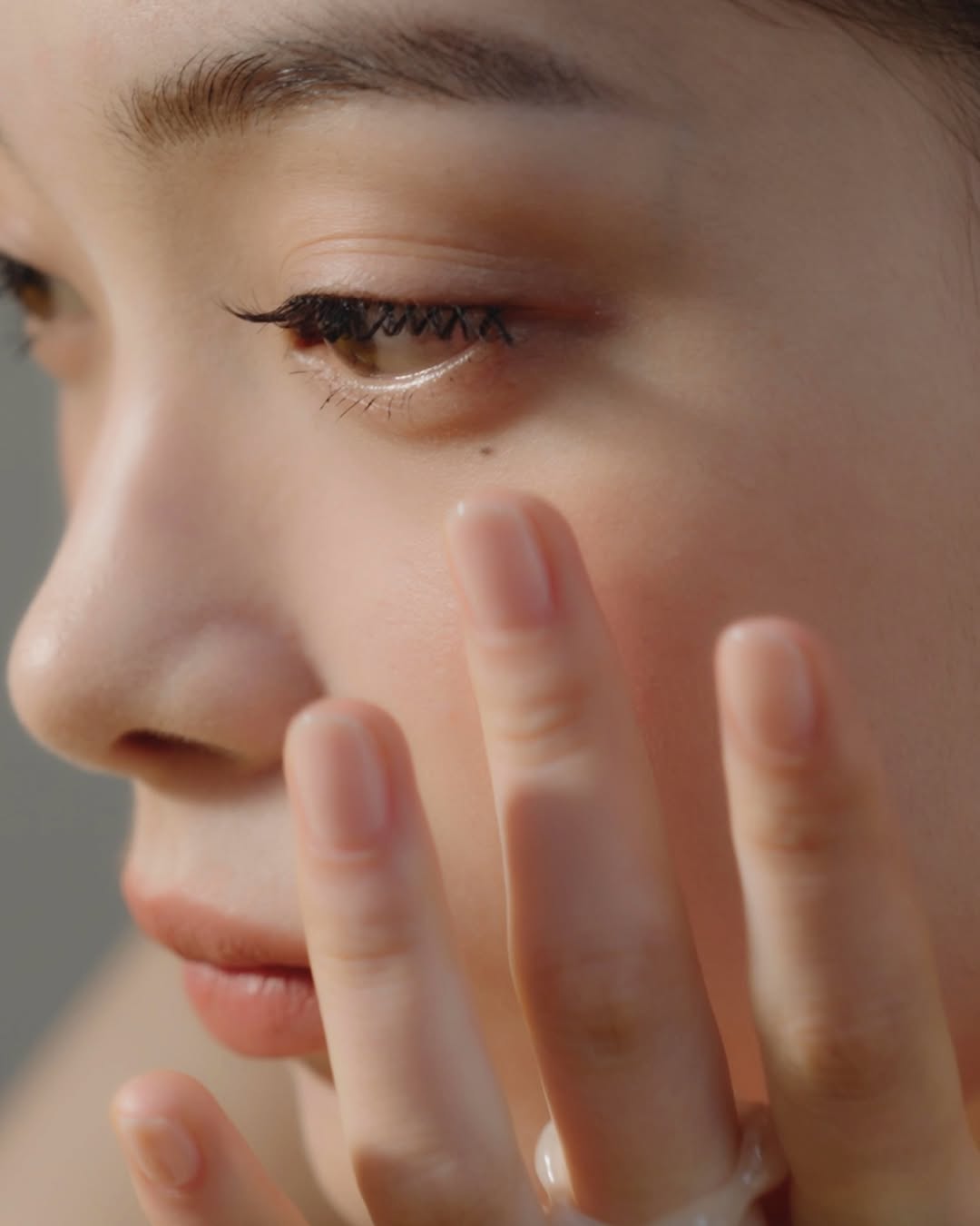 nauet 文件夾造型胭脂上面頰