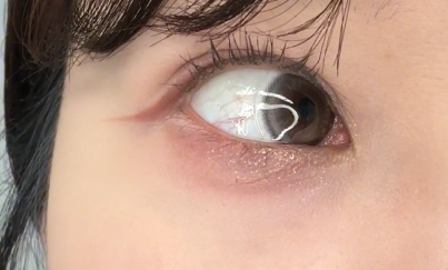 HapaKristin BeanKristin #Medium Brown