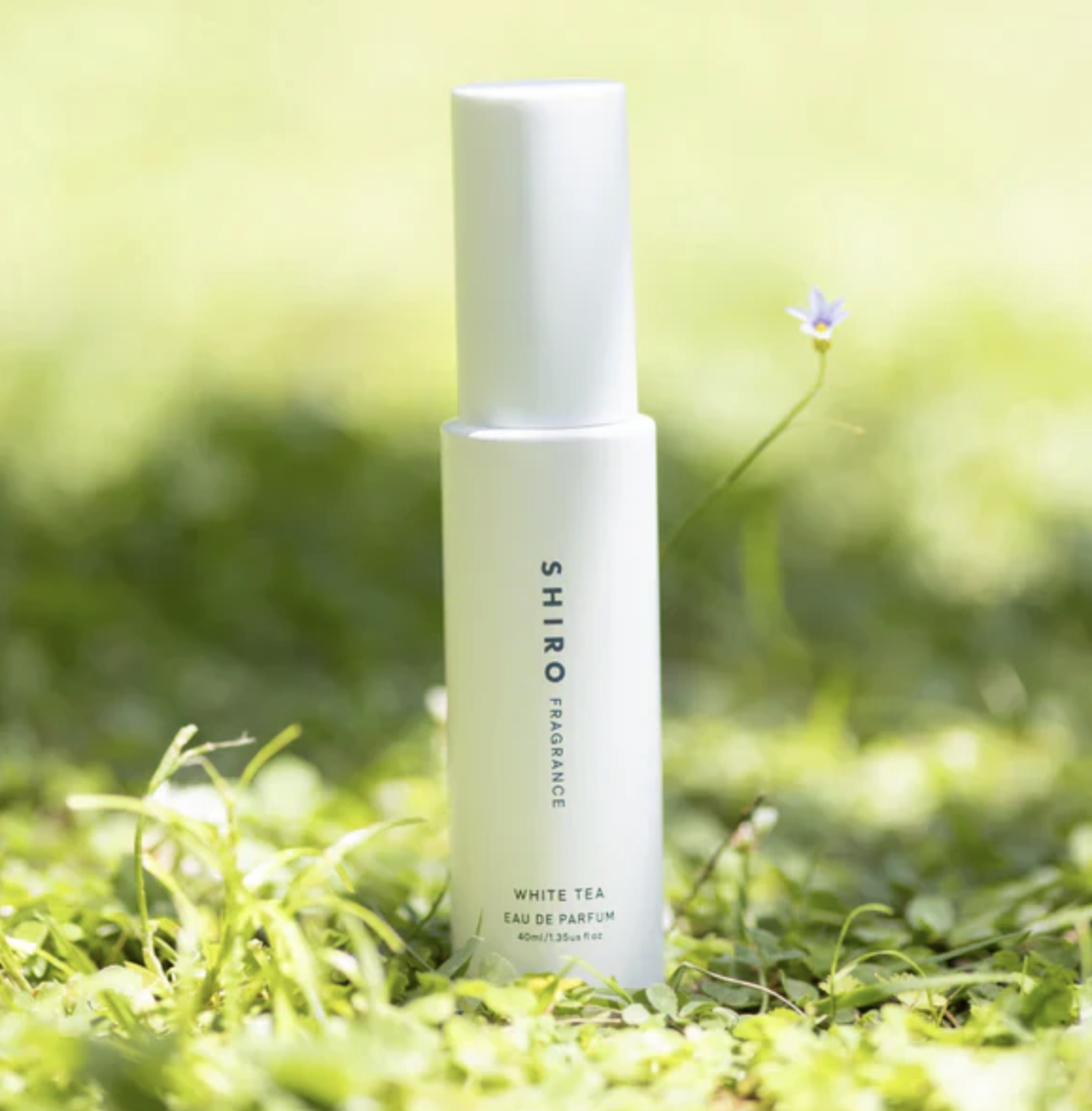 SHIRO 白茶香水 