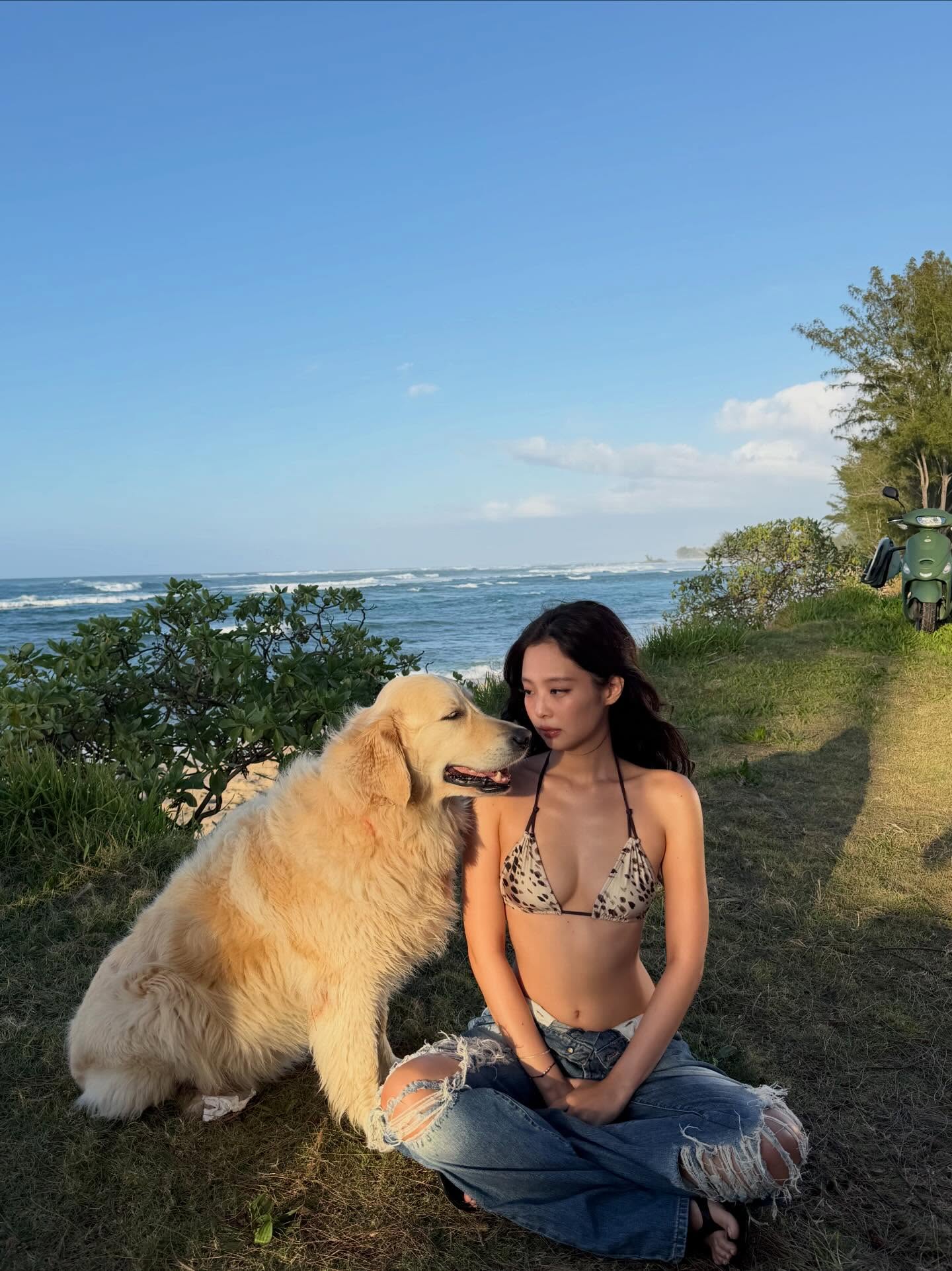 敏感肌夏天濕疹又復發？搞懂立夏養生觀念，4款中暑排毒茶幫你搞定夏季濕熱體質