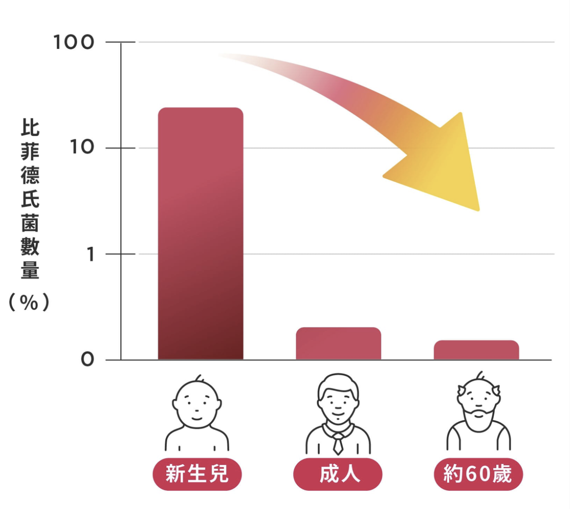 隨著年齡增長，會令壞菌益菌比例失衡，比菲德氏菌數量會逐漸減少。